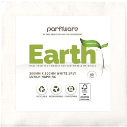 Earth Eco Luncheon Napkin 2 Ply White 300x300mm 40 Sheets