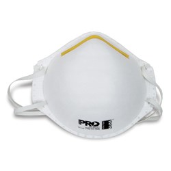 Respirator P2 Disposable P2 Rating